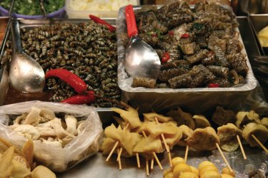 Marché aux serpents - Stéphan SZEREMETA
