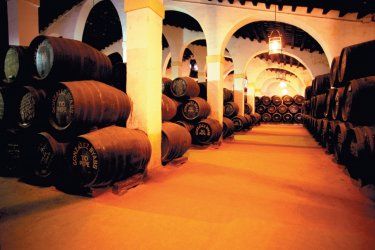 Cave de la Bodega Gonzalez Byass. - Author's Image