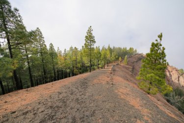 Crête de la Caldera de los Pinos De Gáldar - Mateusz Sciborski - Shutterstock.com
