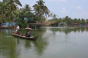 Backwaters dans les environs de Marari. - Grégory ANDRE