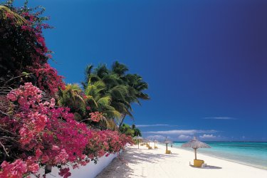 Plage de Trou aux Biches. - Atamu RAHI - Iconotec