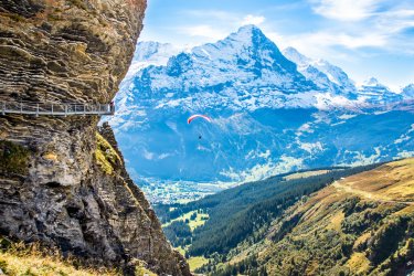 Parapente vers Grindelwald. - Boris-B - Shutterstock.com