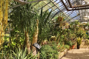 Allan Gardens Conservatory. Valérie FORTIER
