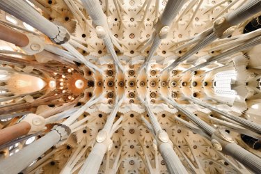 Plafond de la Sagrada Família. - Jpique - iStockphoto.com