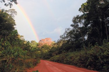 Sur la route économique. - Bernadette VOISIN