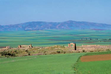 La cité romaine de Volubilis. - Author's Image