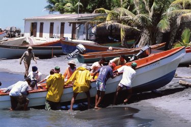 Retour de la pêche à Sainte-Marie. - Author's Image