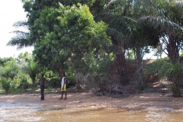 Scène et végétation depuis une piroque voguant sur le mythique lac Togo. - Talatah FAVREAU