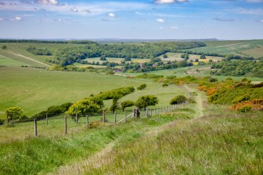 Piste de randonnée à travers les South Downs dans le Sussex. - Dmitry Naumov - Shutterstock.com
