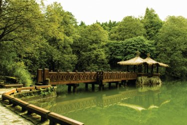 Alishan national Scenic Area. - Dewa_Wirabuwana - iStockphoto