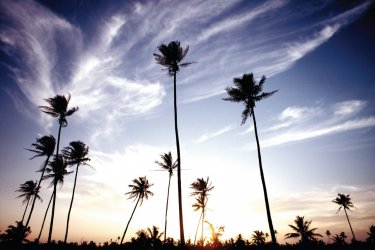Coucher de soleil à Batticaloa. - Alamer - Iconotec
