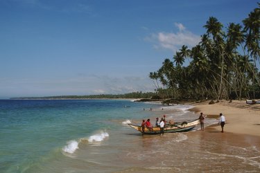 Hikkaduwa - Author's Image