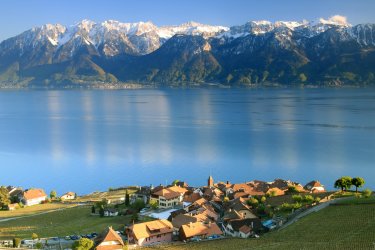 Le charmant village de Rivaz. - Pixelcruiser - Shutterstock.com