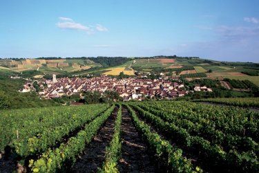 Las rutas del vino de Borgoña