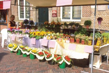 Étal d'un fleuriste à Monnickendam. - Author's Image