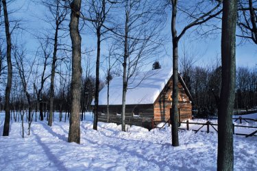 Petite cabane à l'Île d'Orléans. - Author's Image