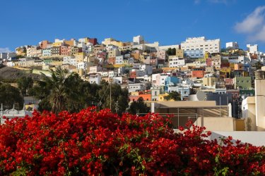Vieilles maisons colorées dans les quartiers résidentiels de Las Palmas. - gumbao - Shutterstock.com