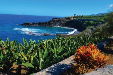 Sur la côte Est, bananeraies, roches et océan, du côté de Charco Azul. - Carine KREB