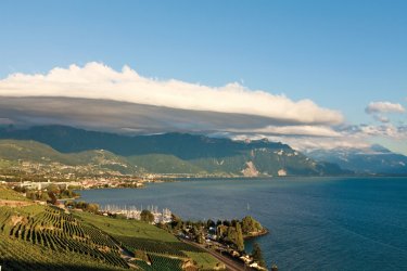 Panorama des vignobles en terrasses de Lavaux : vue sur Saint-Saphorin, Vevey, Montreux. - Philippe GUERSAN - Author's Image