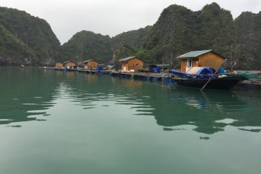 Village de pêcheurs dans la Baie d'ha Long. - Dominique AUZIAS