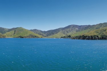Entre Ile du Sud et Ile du Nord, arrivée à Nelson - Joséphine - Iconotec