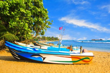 Plage de Bentota. - Datsenko Maryna - Shutterstock.com