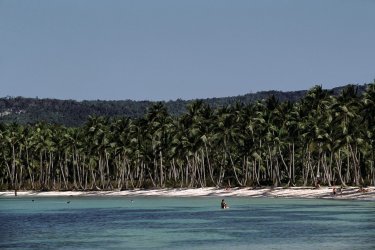 Playa Bavaro, une des belles plages de la côte des cocotiers. Author's Image