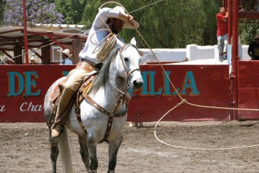 Spectacle de charrería à Mexico. Jade LATARGERE