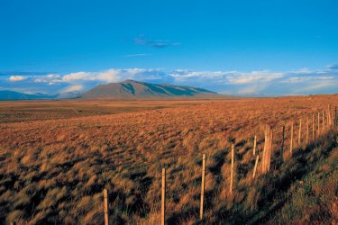 El Calafate. - Alamer - Iconotec