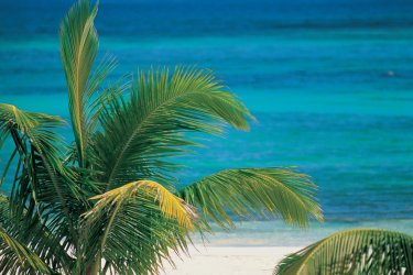 Akumal, petit paradis mexicain. - Hugo Canabi - Iconotec