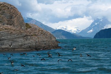 Navigation vers le glacier Balmaceda - Arnaud BONNEFOY