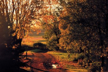 Été indien à Montmagny. - Author's Image