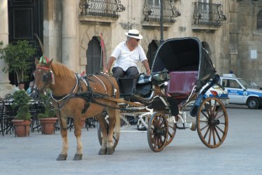 Calèche dans les rues de Syracuse. - Picsofitalia.com