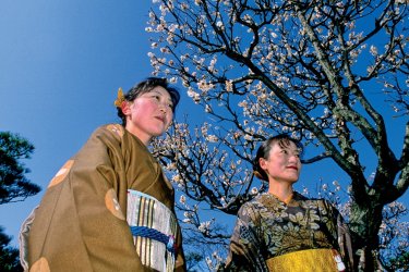 O-Hanami, on se rassemble sous les arbres pour admirer les fleurs. - Sylvain GRANDADAM