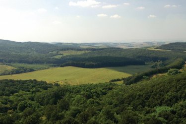 Campagne dans les environs d'Hollókő. - S.Nicolas - Iconotec