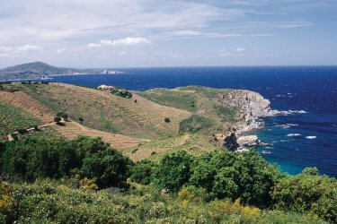 Cap l'Abeille situé près de Banyuls-sur-Mer Nicolas Rung - Author's Image