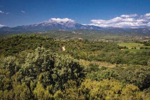 Vue sur les Aspres et le Canigó. (© Laurent Pierson)