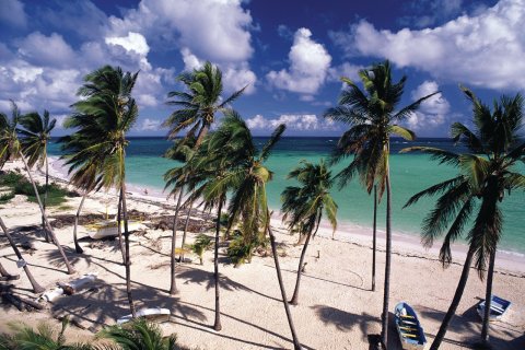 Plage de la Martinique. (© Author's Image)