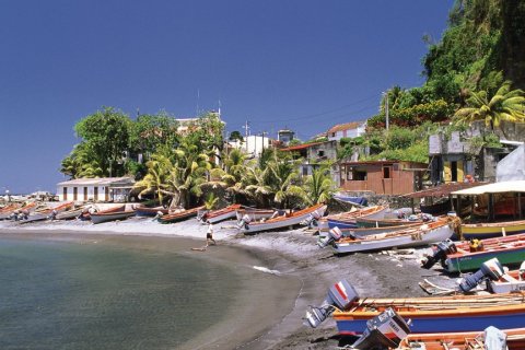 Petit port de pêche de Grand-Rivière. (© Author's Image)