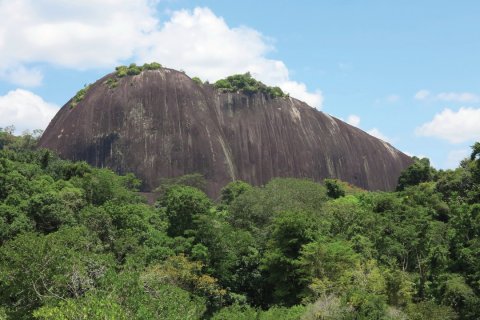 Le Voltzberg, dans la réserve naturelle du Suriname central. (© Grégory ANDRE)