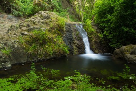 Petite cascade, réserve naturelle de Barranco de Azuaje entre Moya et Firgas. (© Tamara Kulikova - Shutterstock.com)