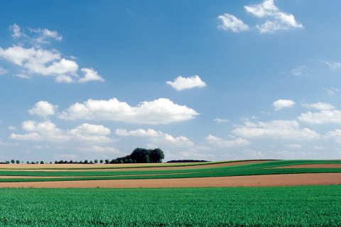 La campagne du Nord (© JERÔME BERQUEZ - AUTHOR'S IMAGE)