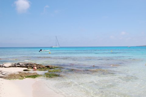 Plage de Punta Prima. (© Jordi BOU)