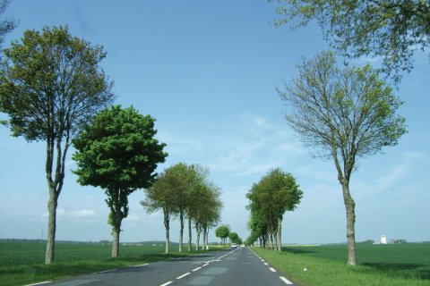 La D920 en direction de la Loupe - Chartres (© Stéphan SZEREMETA)