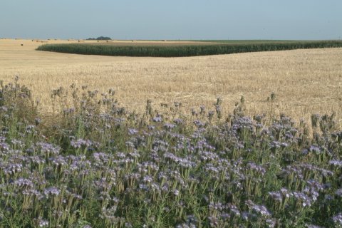Paysage de la région. (© Yves GABRIEL)