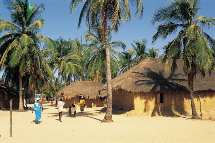 Visit Casamance Senegal Travel Guide Of Casamance Petit Fute Visit Casamance Senegal Travel Guide Of Casamance Petit Fute