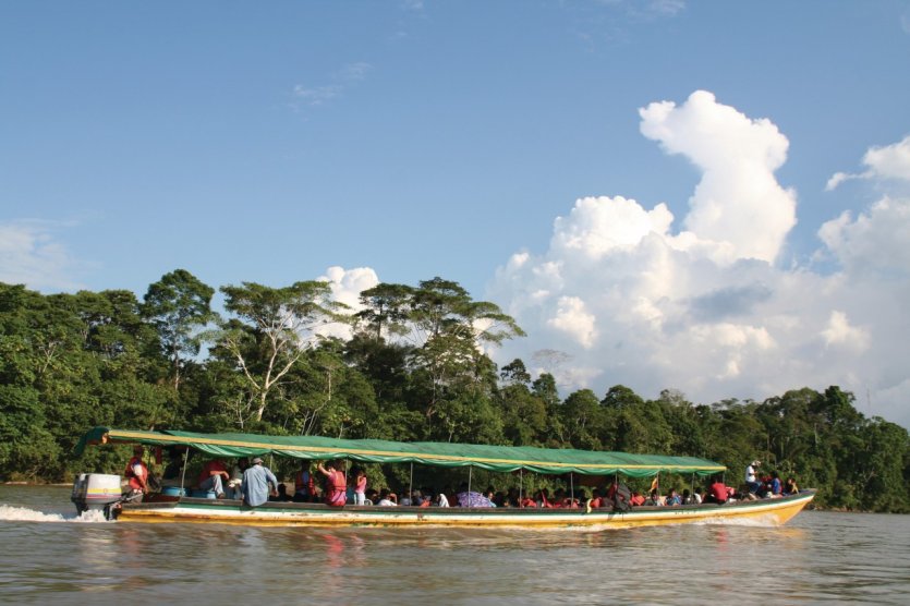 Traversée du Río Napo.