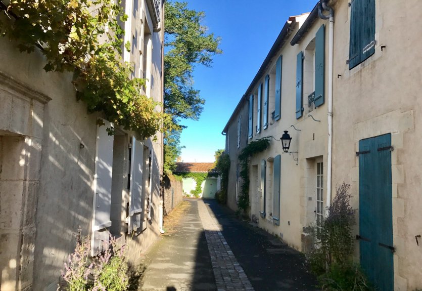 <p>Ruelles de Noirmoutier-en-l'île.</p>