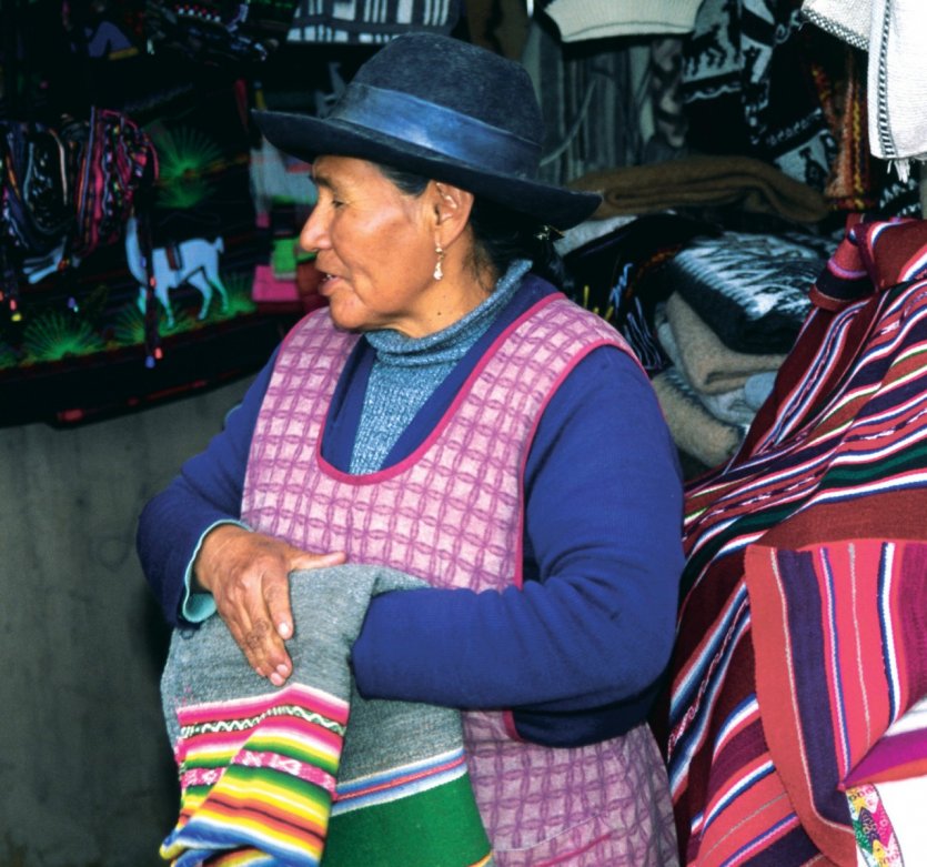 <p>Chilienne à Parinacota</p>