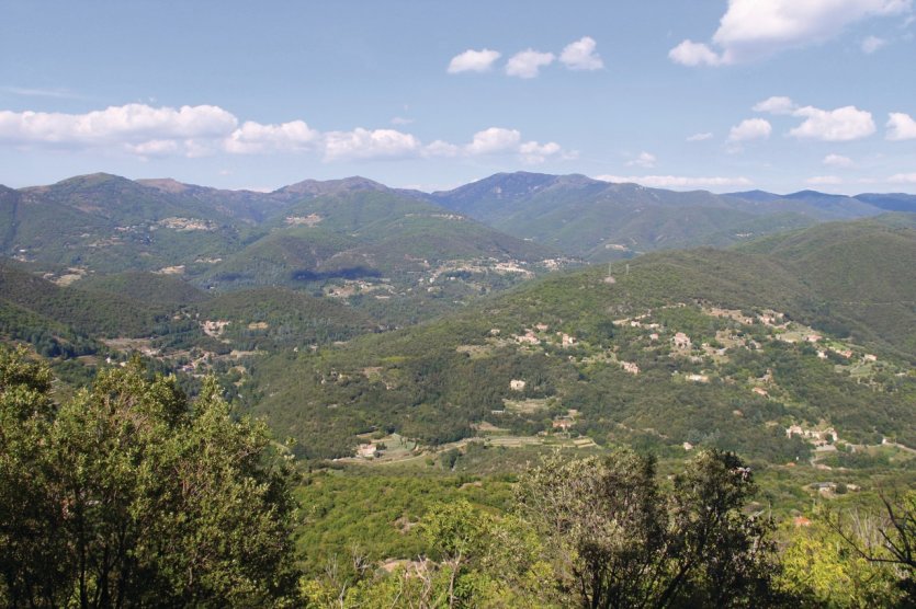 Paysage des Cévennes